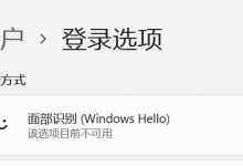 我来分享Win11更新22000.100后Windows