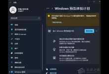 我来教你Win11预览体验计划显示:你的电脑不满足Windows