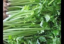 不能和芹菜一起吃的食物，一定要注意，别不听劝