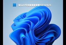 分享Win11企业版和专业版有什么区别哪个好