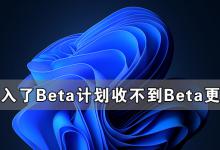 我来教你Windows系统加入了Beta计划却收不到Win11