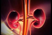 男性晨起“第一次”上厕所，若无4种异常，说明肾脏还算健康