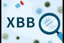 新冠疫情什么时候能结束？美国科学院士和钟南山院士的预言相吻合