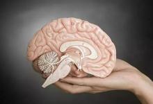 年纪大了害怕脑萎缩？医生提醒：可以试试这3种药物