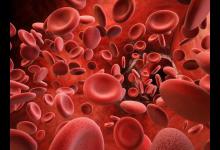 血常规检查中，若这5个指标升高，需进一步做筛查