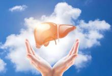 李兰娟：早上是养肝“黄金期”，常吃4种早餐，或能让肝功变好