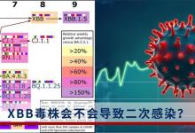 XBB会不会导致二次感染？感染高峰后会形成群体免疫吗？