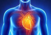 心脏决定寿命？建议中老年：常吃4种护心食物，或让心脏更年轻