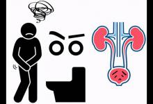 喝水后一直小便的人，和半天不去厕所的人，谁更健康？早知道早好