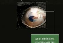 “百草枯”侵入人体全过程：农药入口的那一刻，痛苦程度想象不到