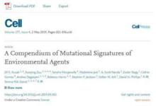 人一天可以承受多少支香烟？这个“数”或会颠覆认知