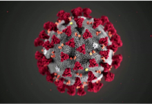 第二波病毒要来了？医生提醒：3类人容易被感染，提前做好防护