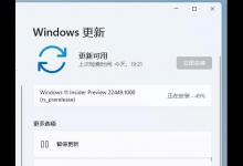 教你Win11升级22449.1000版本卡在49%怎么办