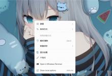 小编教你Win11怎么设置桌面软件小图标