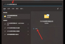 分享Win11文件后缀名如何显示（Win11显示文件后缀名）