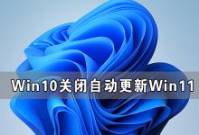 我来教你电脑突然自动更新Win11（电脑突然自动更新怎么办）