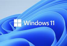 小编分享Win11预览版和正式版有什么区别（Win11预览版怎么升级正式版）