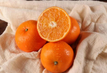 沃柑为什么有一股酒味