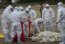 台湾民众买24颗鸡蛋花了400块为什么台湾出现鸡蛋荒？