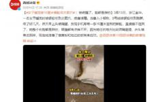 女子睡觉时被10厘米蜈蚣咬太阳穴 被蜈蚣咬了会有生命危险吗