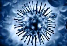 农村甲流感染情况是什么样？