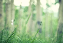 2023清明节开门做生意好吗