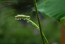 4月份是不是梅雨季节