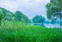 2023年四川攀枝花夏天热吗