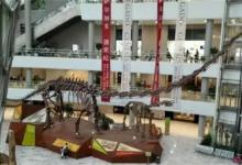 最长脖子的恐龙名字是什么