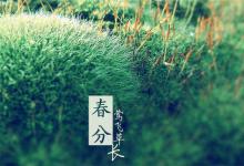 春分后天气有什么变化还会冷吗