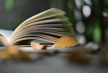 杭州外国语大学是几本