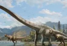 ​脖子最长的恐龙有哪些