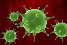 此轮甲流高峰是否已经过去？