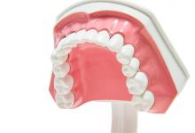 种植的牙有使用年限吗需要换吗