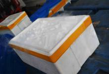 10公斤干冰在泡沫箱能放几天