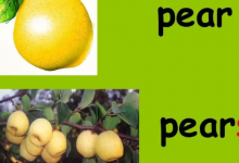 pear可数还是不可数