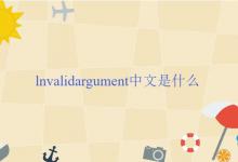 lnvalid argument中文是什么