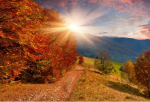 秋天有什么变化