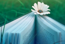 专科教育的基本修业年限