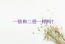 一倍和二倍一样吗？
