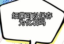 细菌可以保存为化石吗？