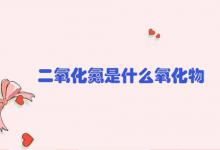 二氧化氮是什么氧化物