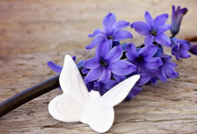 优雅又有深度的诗句