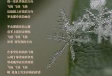 雪花的快乐徐志摩赏析