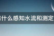 鱼用什么感知水流和测定方向