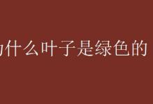 为什么叶子是绿色的