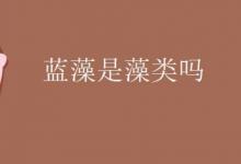 蓝藻是藻类吗？