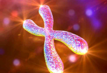 21三体综合征是指什么