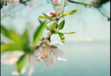 2023清明节下雨天可以扫墓吗