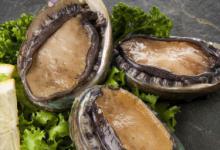 活鲍鱼暂时不吃怎么保存 鲍鱼暂时不吃如何保存